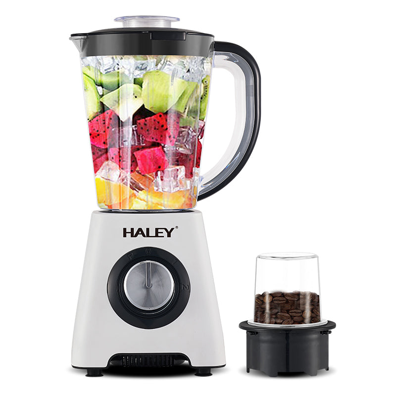 HALEY Blender 500W | HY-2939
