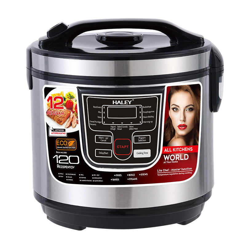 HALEY Electric Rice Cooker