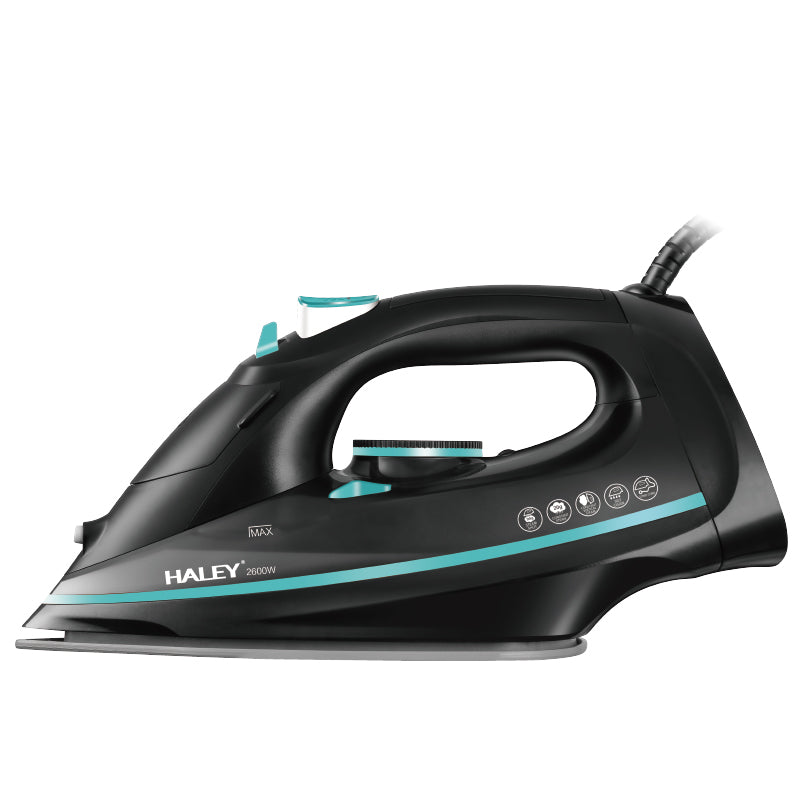 HALEY Electric Steam Iron