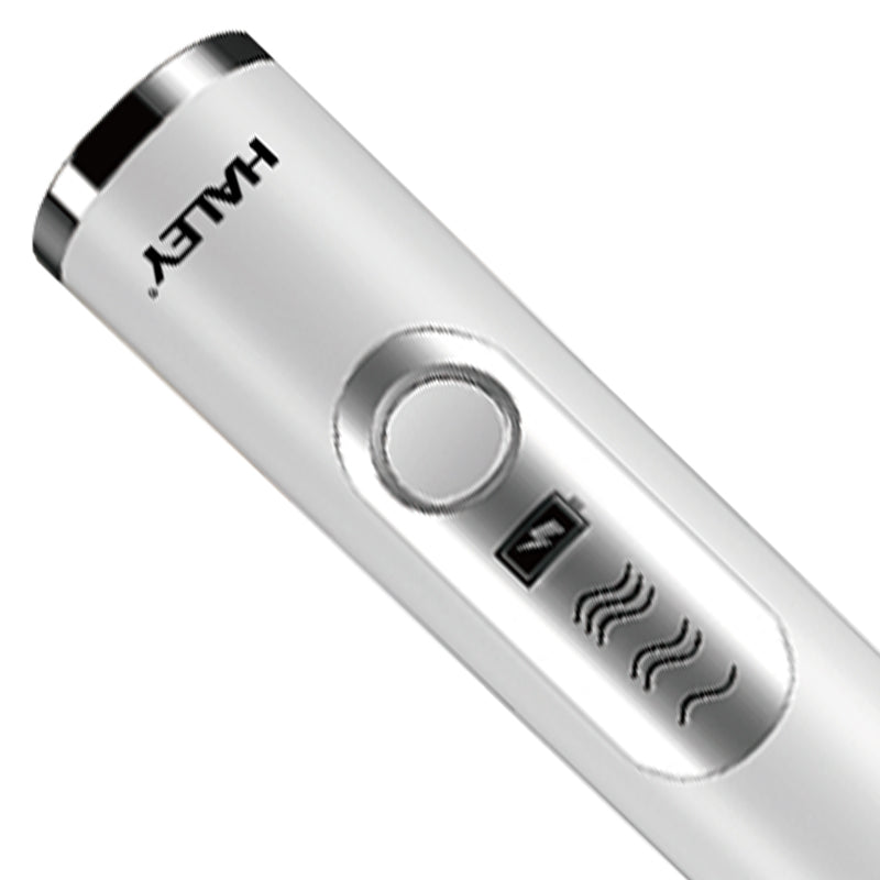 HALEY Portable Milk Frother