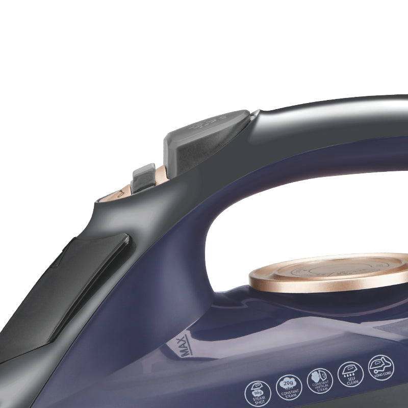 HALEY Electric Steam Iron