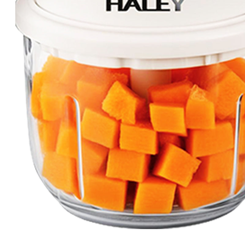 HALEY Baby Food Maker | HY-1255