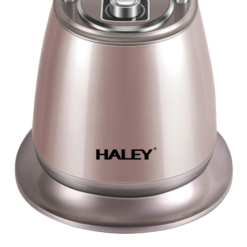 HALEY Garment Steamer