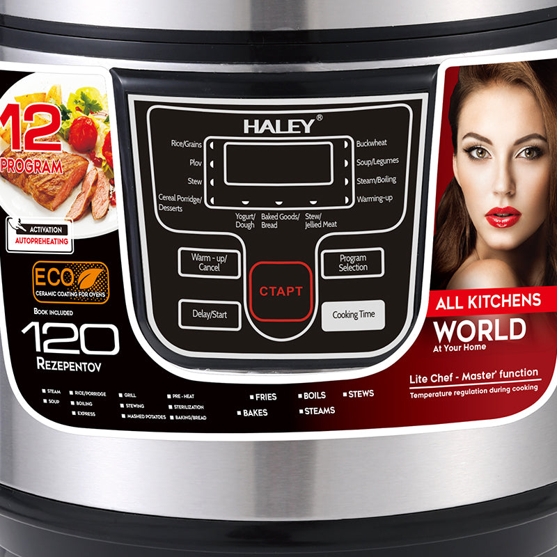 HALEY Electric Rice Cooker