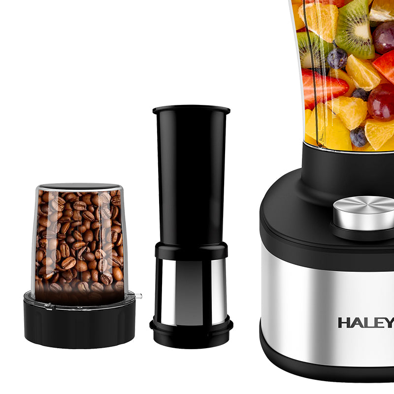 HALEY Multipurpose Large Blender | HY-2952