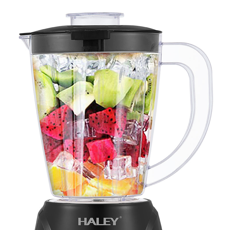 HALEY Blender 500W